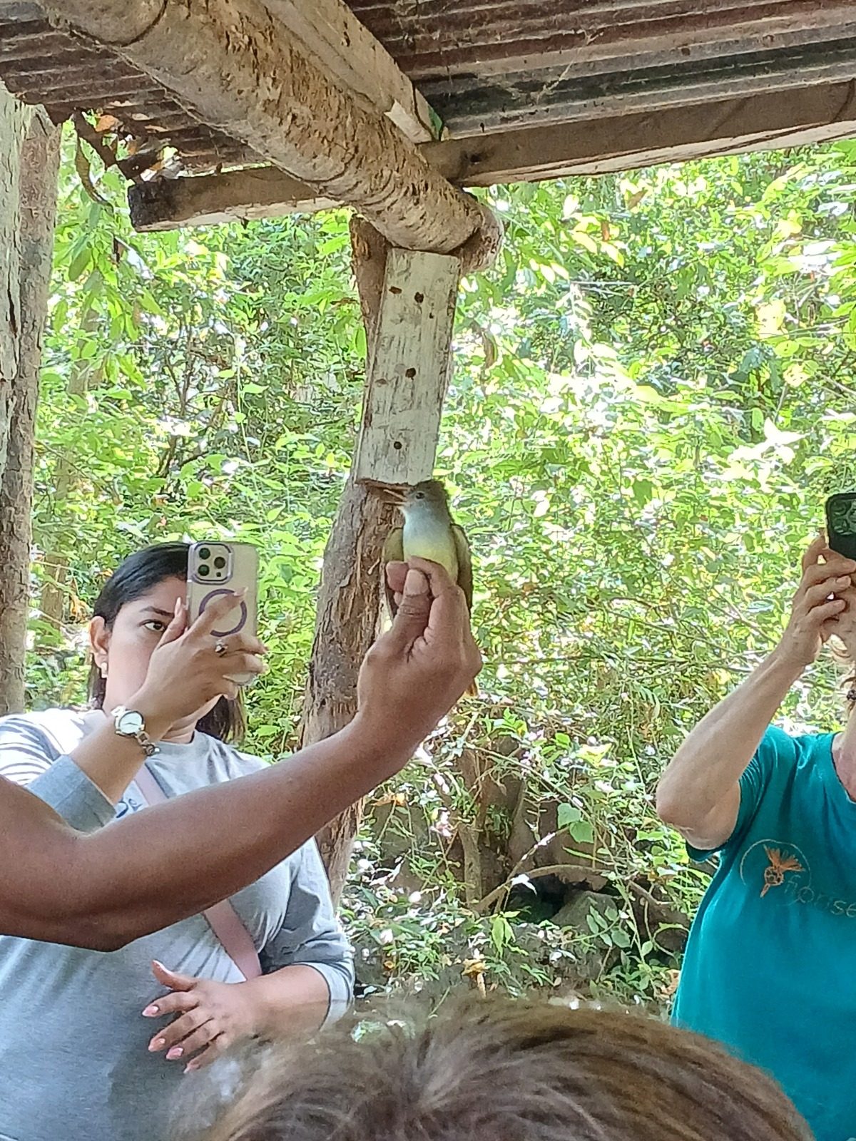 Visitors photographing a bird being carefully held by a researcher during a banding session