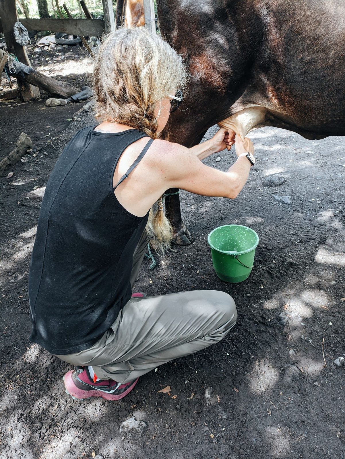 A visitor learning to hand-milk a cow on a family farm